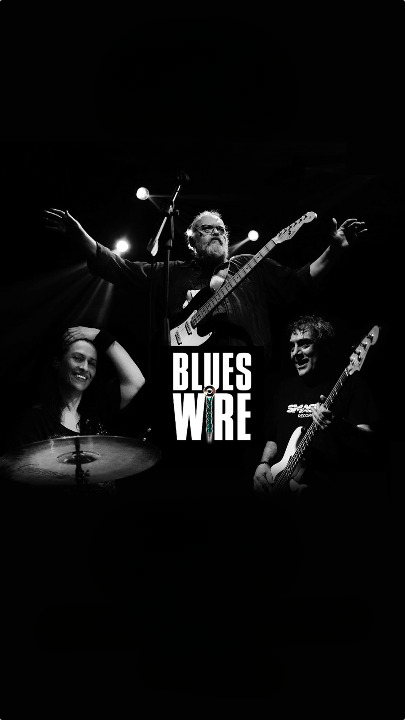 Blues Wire at Bocas