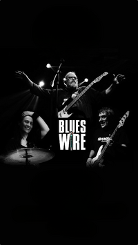 Blues Wire at Bocas